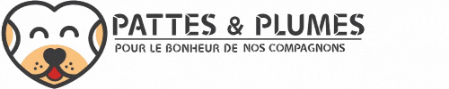 www.pattesetplumes.kingeshop.com